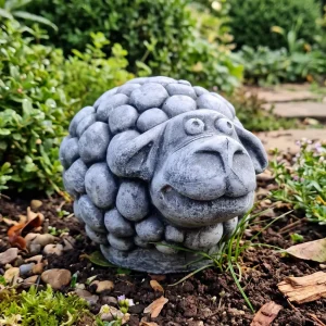 Sheep Ewe